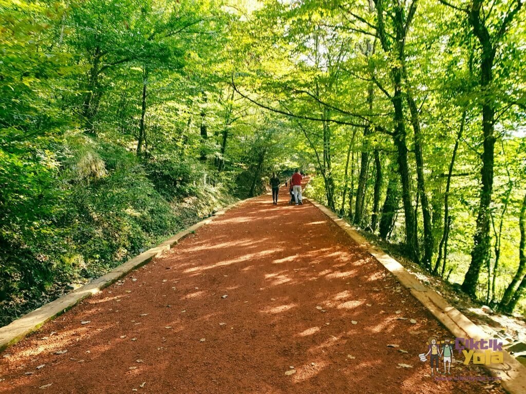Belgrad Ormanı Koşu Parkuru