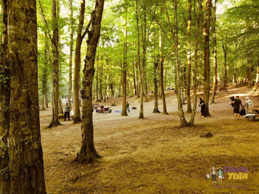 Belgrad Ormanı Piknik Alanları